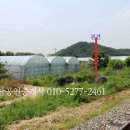 원정농장 이미지