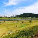 원오교 파크골프장 이미지