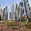 다드림공인중개사사무소 이미지