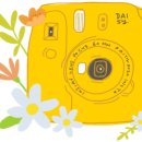 베이크시즌 이미지