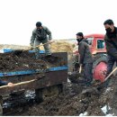 은천농장1 이미지