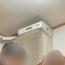 청년피자철원 이미지