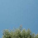 반호스튜디오 이미지