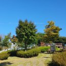 신장근린공원 주변 이미지