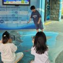 주말 어린이교육 이미지