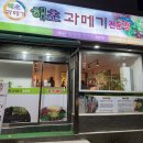 해초과메기양정점 이미지