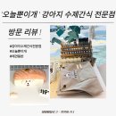 오늘뿐이개 이미지