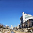 부평1동행정복지센터 문화마당 | 인천 부평 굴포천 복원 30년 만에 돌아온 물길, 낮과 밤 모두 걸어본 솔직 후기(은하수길 러닝코스 산책)