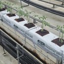 에스제이(SJ) 파트너 이미지