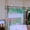 제21회 부천국제판타스틱영화제 후기
