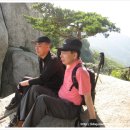 두 Y자(주말) 이미지