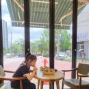 연산동 샌드위치맛집 민들레상점 부산연제점 피크닉 도시락 포장 후기