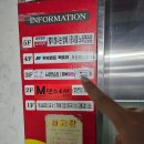 손수케이크러비더비 이미지