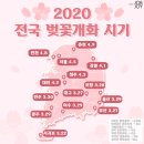 물안골마을 | 벚꽃 보러 가기 좋은 곳 BEST5 - 2020년 벚꽃 명소