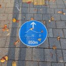 바이독한 | [20251106~07] 수락휴 자연휴양림 개별동 1박 후기① (feat. 씨즌서울바이홍신애, 뚜벅이)