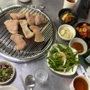 미스터꼼장어