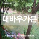 대바우가든 민박 이미지