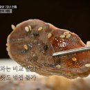 대성수육국밥 이미지