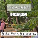 오봉산 숲 놀이터 이미지