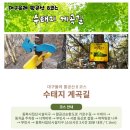 팔공산올레길 8코스 | [공지] 대구올레 팔공산 8코스 - '수태지 계곡길'