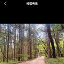 11월 1일(일)카페지원무료 버스 사찰기행 3 원주 구룡사 세렴폭포 트레킹 이미지
