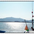 주민이네 복실강아지 이미지