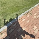 금수문화공원야영장 이미지