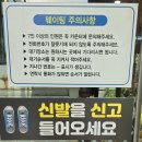 포항문덕맛집 아쿠아춘천닭갈비 후기 | 미니 아쿠아리움과 닭갈비로 눈과 입이 즐거움