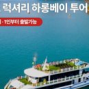 퀸크루즈