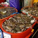 수인선 타고 가는 소래포구 이미지