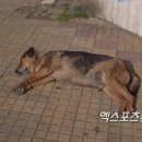 윤인섭 이미지