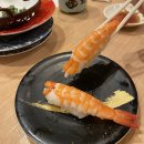 재팬,익스프레스티켓(내돈내산), 쓰리브룸스틱스,그랜드프론트오사카 레스토랑, 칸타로스시(회전초밥)