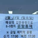 [여수] 금오도여천여객터미널 금오도 여천항 - 돌산 신기항 차가지고 간 후기(feat. 금오도 나가기)
