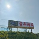 다온농원 | 서울 근교 나들이 화성 우리 블루베리 농원 19개월 아기랑 체험 가격 후기