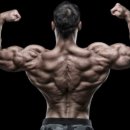 케이탑 짐 이미지