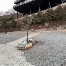 태학산 오토캠핑장 남자화장실 | 마산 안녕오토캠핑장 애완견 동반 첫 방문 1박2일 후기 김해 고릴라캠핑에서 출발