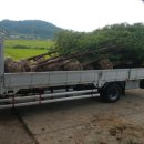 현재농장 이미지