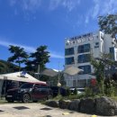 민들레미코 이미지