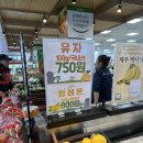 제주도 모슬포 방어회 포장 제주 하나로마트 노형점