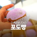 109포도 - 17334 | 대부도맛집ㅣ대부도 특산물로 만든 대부도 포도빵은 포도맛일까? 선물하기 좋은 포도빵 후기