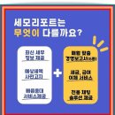 세모세무회계 이미지