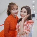 금잔디 이미지
