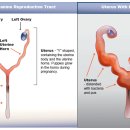 광주동천병원 이미지