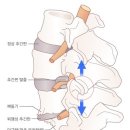 카이로프락틱 이미지