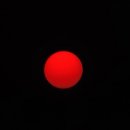 해넘이농장 티스토리