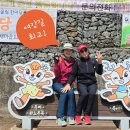 여강길(11코스 동학의길) | 여주 여강 걷기 좋은 길 ] 동학의 숨결이 깃든 잣나무 숲속 임도 길 여주 &#39;여강길 11코스 동학의길&#39; 걷기