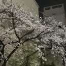 이대로 난