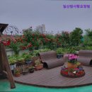 일산참사랑요양병원 | {경기도, 고양시, 요양원, 요양센터, 추천!} 일산참사랑요양원 고양시 요양원 추천