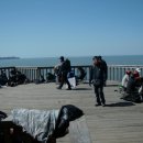 국사봉목장 이미지