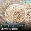 하이닥의원 | 좋은 탄수화물 섭취하는 방법 3가지, 왜 안먹을 수록 몸이 더 망가질까?